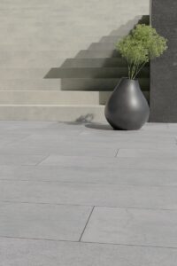 a vase with a plant in it sitting on the ground