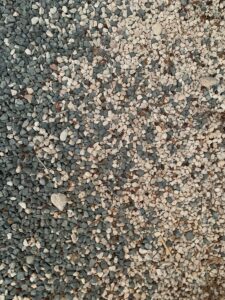 a black and white cat laying on the ground